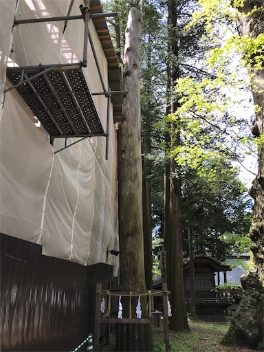 f:id:tmtmz:20210506205114j:image