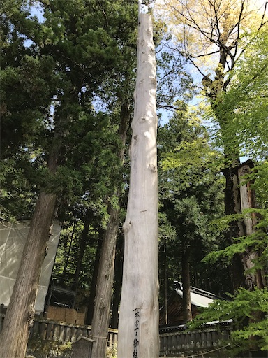 f:id:tmtmz:20210506205139j:image