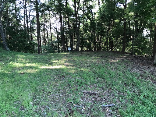 f:id:tmtmz:20210523211227j:image f:id:tmtmz:20210523211227j:image