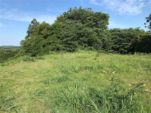 f:id:tmtmz:20210523211238j:image f:id:tmtmz:20210523211238j:image