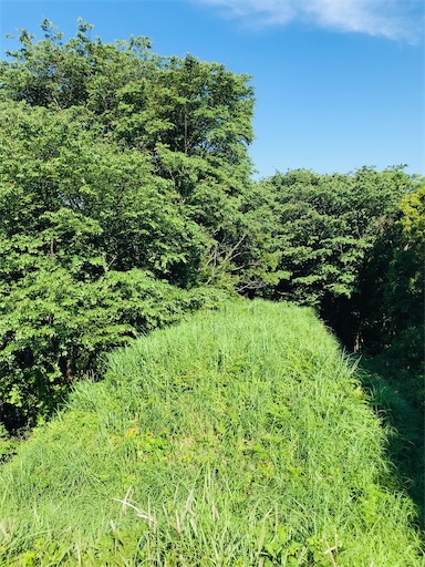 f:id:tmtmz:20210523211526j:image f:id:tmtmz:20210523211526j:image