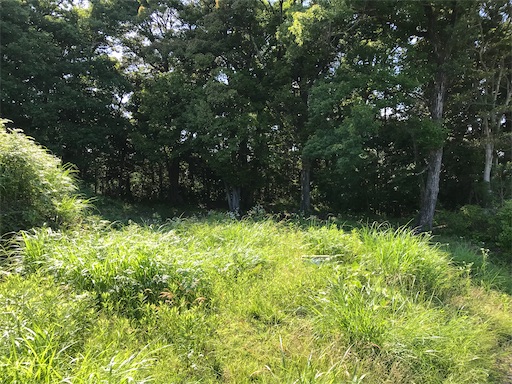 f:id:tmtmz:20210523211603j:image f:id:tmtmz:20210523211603j:image