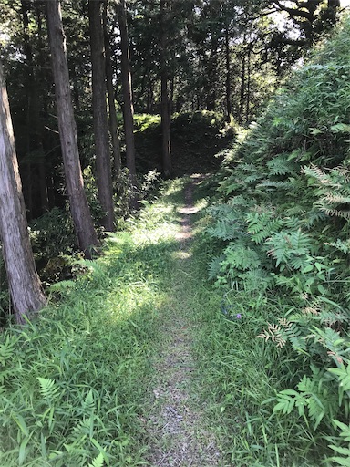 f:id:tmtmz:20210523211636j:image f:id:tmtmz:20210523211636j:image