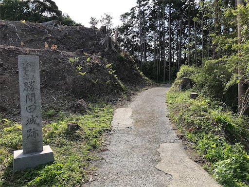 f:id:tmtmz:20210523211646j:image f:id:tmtmz:20210523211646j:image