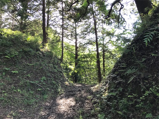 f:id:tmtmz:20210523211708j:image f:id:tmtmz:20210523211708j:image