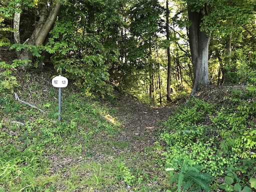 f:id:tmtmz:20210523211712j:image f:id:tmtmz:20210523211712j:image