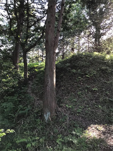 f:id:tmtmz:20210523211810j:image f:id:tmtmz:20210523211810j:image