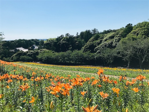 f:id:tmtmz:20210602233253j:image f:id:tmtmz:20210602233253j:image