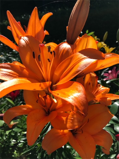 f:id:tmtmz:20210602233340j:image f:id:tmtmz:20210602233340j:image