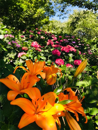 f:id:tmtmz:20210602233435j:image f:id:tmtmz:20210602233435j:image