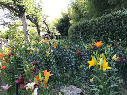 f:id:tmtmz:20210602233545j:image f:id:tmtmz:20210602233545j:image