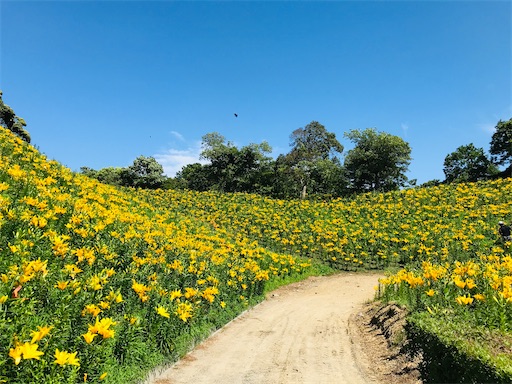 f:id:tmtmz:20210602233620j:image f:id:tmtmz:20210602233620j:image