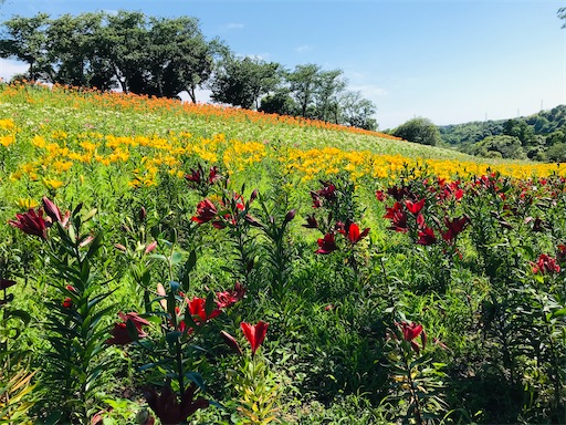 f:id:tmtmz:20210602233630j:image f:id:tmtmz:20210602233630j:image