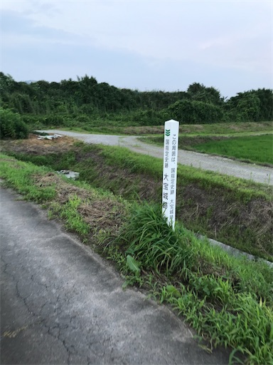 f:id:tmtmz:20210711211131j:image