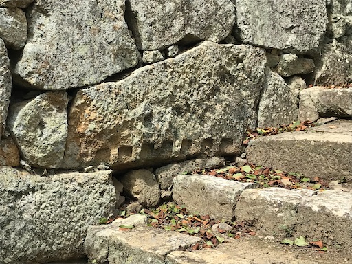 f:id:tmtmz:20210811074457j:image