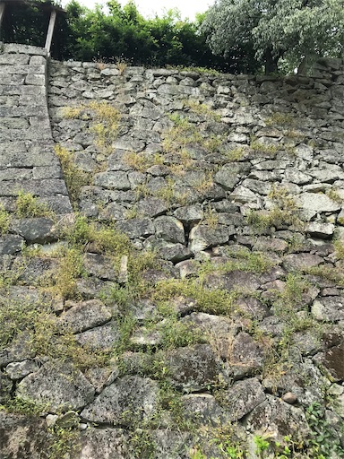 f:id:tmtmz:20210811074557j:image