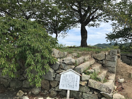 f:id:tmtmz:20210811074601j:image