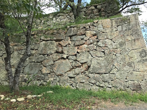 f:id:tmtmz:20210811074717j:image