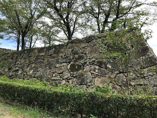 f:id:tmtmz:20210811074830j:image