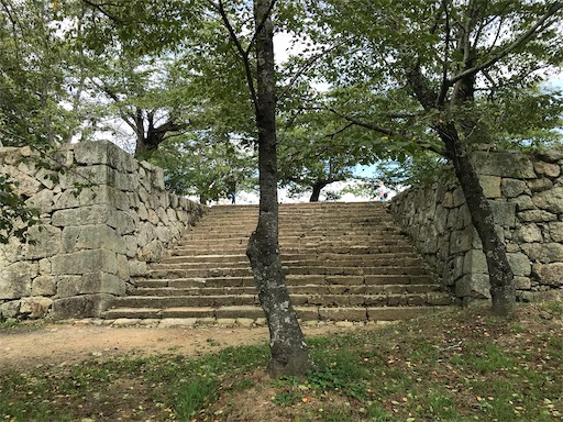 f:id:tmtmz:20210811074852j:image