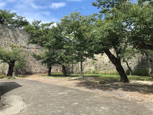 f:id:tmtmz:20210811075022j:image