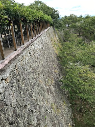 f:id:tmtmz:20210811075047j:image