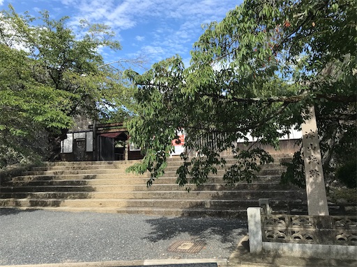 f:id:tmtmz:20210811075206j:image