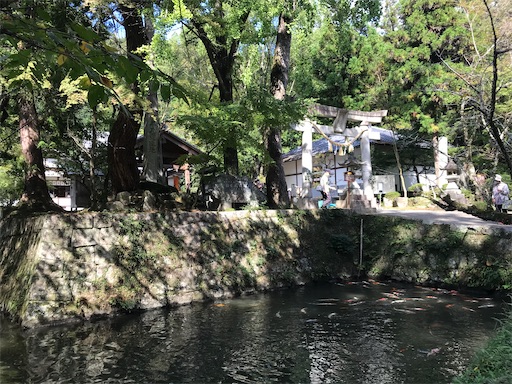 f:id:tmtmz:20211016220909j:image