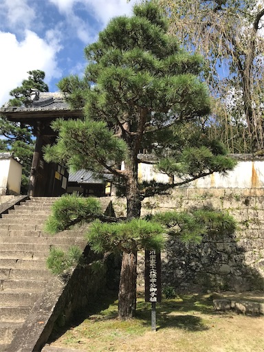 f:id:tmtmz:20211016220943j:image