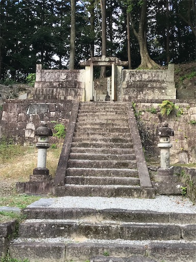 f:id:tmtmz:20211016221003j:image