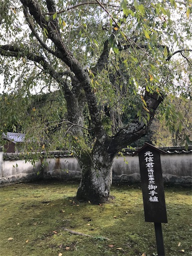 f:id:tmtmz:20211016221025j:image