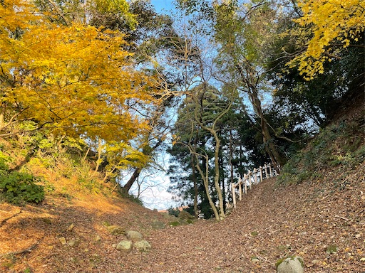 f:id:tmtmz:20211121231048j:image