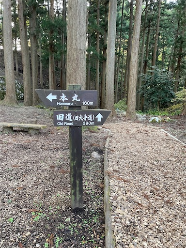 f:id:tmtmz:20211121231105j:image