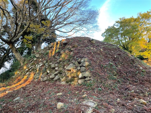 f:id:tmtmz:20211121231128j:image