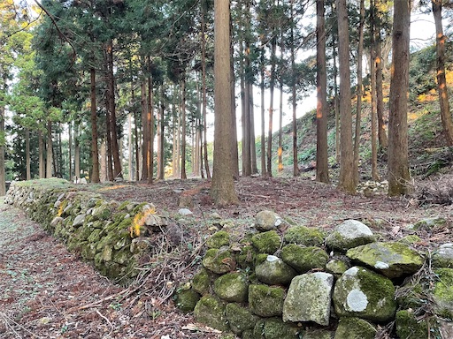 f:id:tmtmz:20211121231144j:image