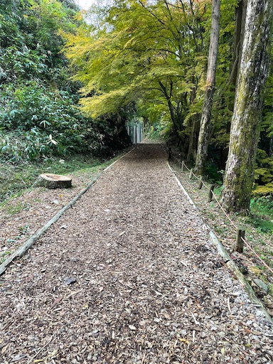 f:id:tmtmz:20211121231201j:image