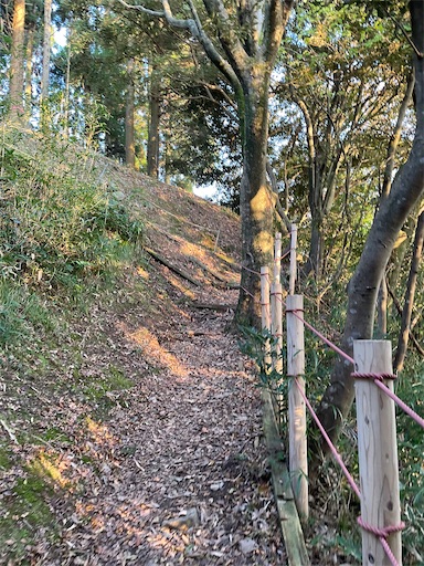 f:id:tmtmz:20211121231208j:image