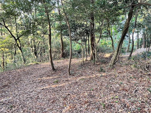 f:id:tmtmz:20211121231220j:image