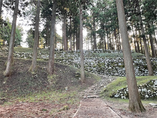 f:id:tmtmz:20211121231222j:image