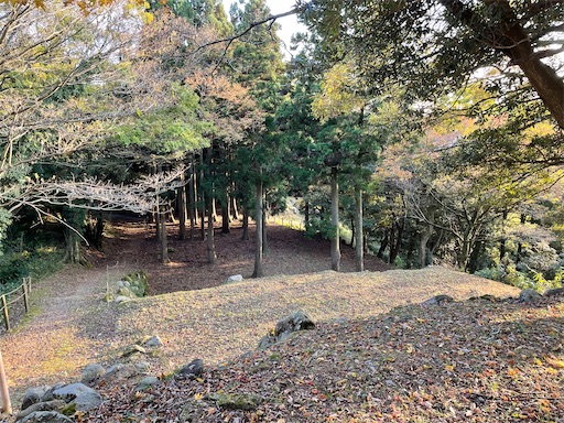 f:id:tmtmz:20211121231416j:image