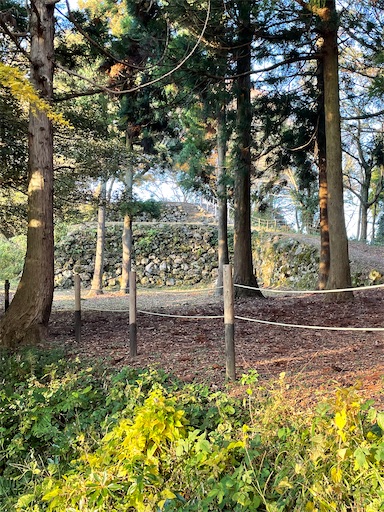 f:id:tmtmz:20211121231418j:image