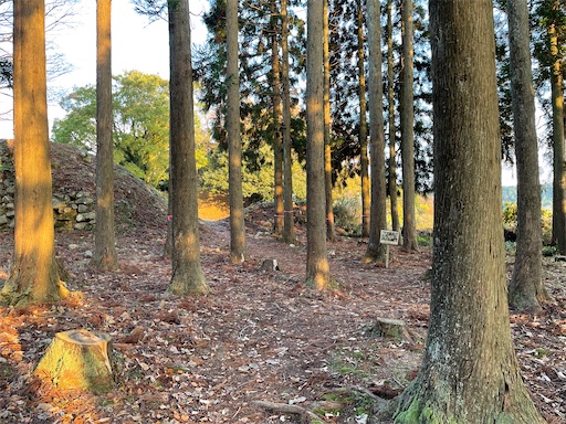 f:id:tmtmz:20211121231432j:image