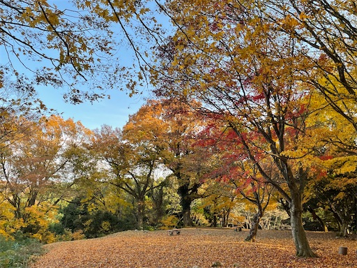 f:id:tmtmz:20211121231443j:image