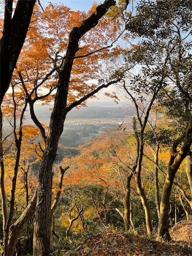 f:id:tmtmz:20211121231512j:image