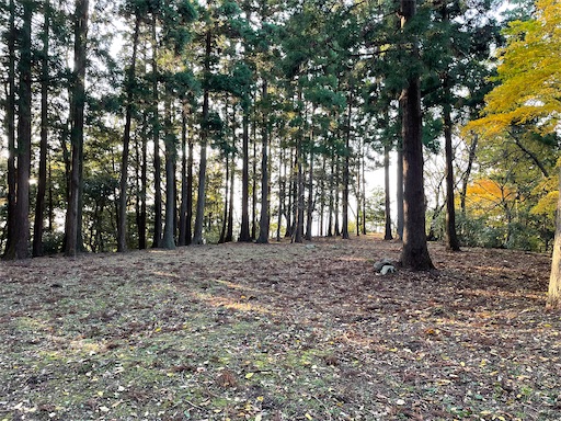 f:id:tmtmz:20211121231519j:image