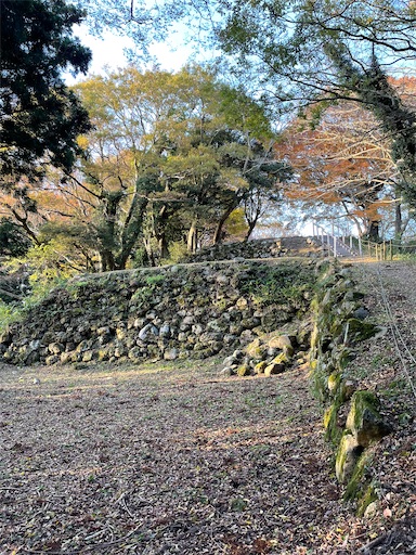 f:id:tmtmz:20211121231521j:image