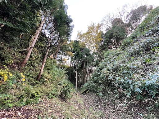 f:id:tmtmz:20211121231526j:image