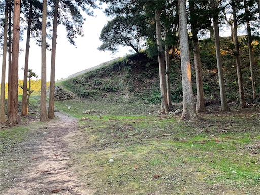 f:id:tmtmz:20211121231533j:image