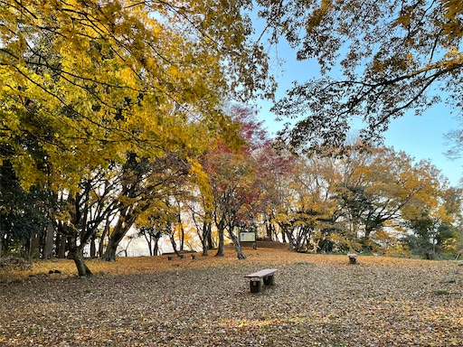 f:id:tmtmz:20211121231536j:image