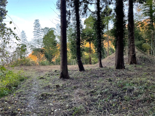 f:id:tmtmz:20211121231541j:image